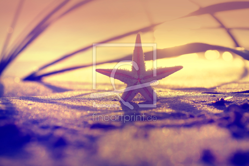 frei w&auml;hlbarer Bildausschnitt f&uuml;r Ihr Bild auf Kissen