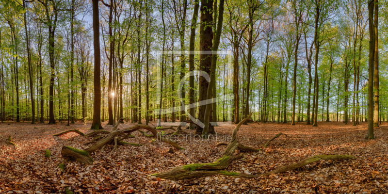 frei w&auml;hlbarer Bildausschnitt f&uuml;r Ihr Bild auf Kissen