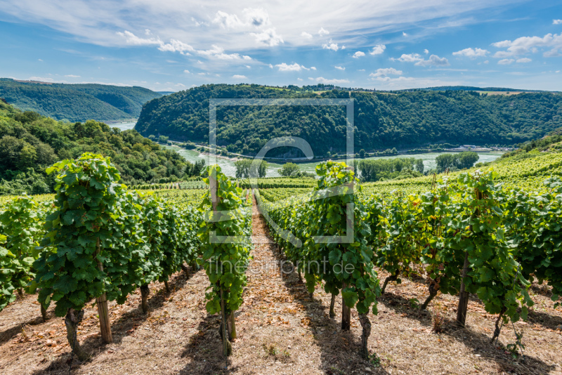 frei w&auml;hlbarer Bildausschnitt f&uuml;r Ihr Bild auf Kissen