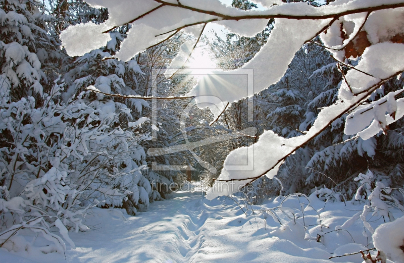 frei w&auml;hlbarer Bildausschnitt f&uuml;r Ihr Bild auf Kissen