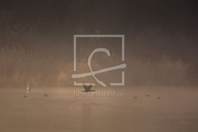 frei w&auml;hlbarer Bildausschnitt f&uuml;r Ihr Bild auf Kissen