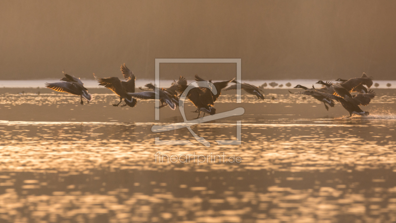 frei w&auml;hlbarer Bildausschnitt f&uuml;r Ihr Bild auf Kissen