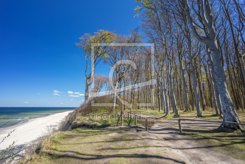 frei w&auml;hlbarer Bildausschnitt f&uuml;r Ihr Bild auf Kissen