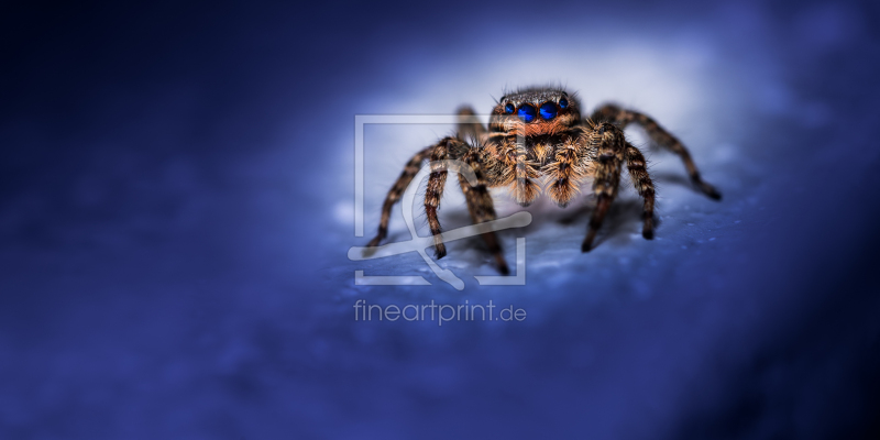 frei w&auml;hlbarer Bildausschnitt f&uuml;r Ihr Bild auf Kissen