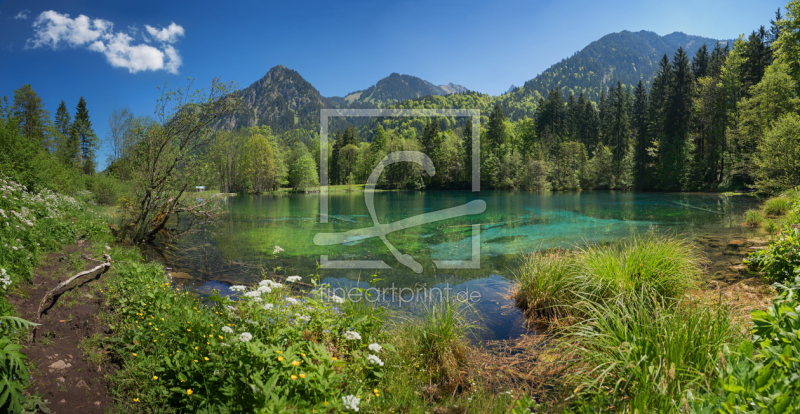 frei wählbarer Bildausschnitt für Ihr Bild auf Kissen