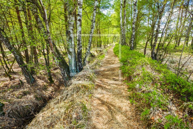 frei w&auml;hlbarer Bildausschnitt f&uuml;r Ihr Bild auf Kissen