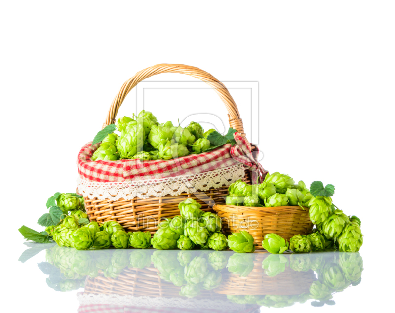 frei w&auml;hlbarer Bildausschnitt f&uuml;r Ihr Bild auf Kissen