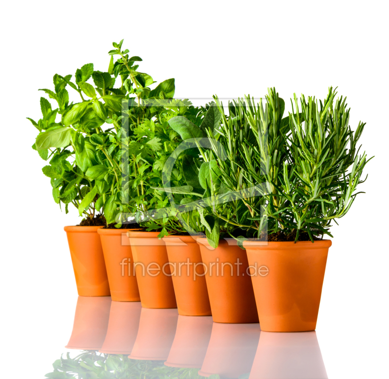 frei w&auml;hlbarer Bildausschnitt f&uuml;r Ihr Bild auf Kissen