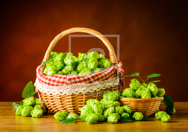 frei w&auml;hlbarer Bildausschnitt f&uuml;r Ihr Bild auf Kissen