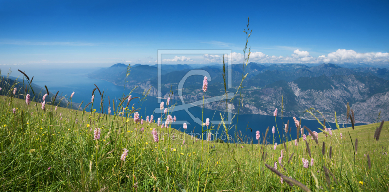 frei wählbarer Bildausschnitt für Ihr Bild auf Kissen