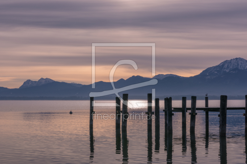 frei wählbarer Bildausschnitt für Ihr Bild auf Kissen