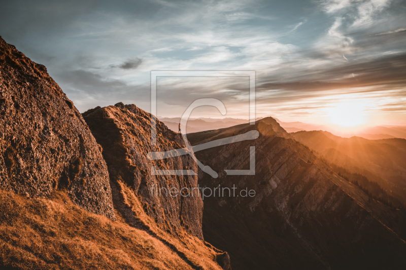 frei w&auml;hlbarer Bildausschnitt f&uuml;r Ihr Bild auf Kissen