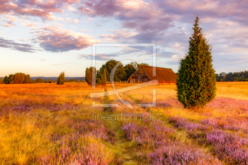 frei w&auml;hlbarer Bildausschnitt f&uuml;r Ihr Bild auf Kissen