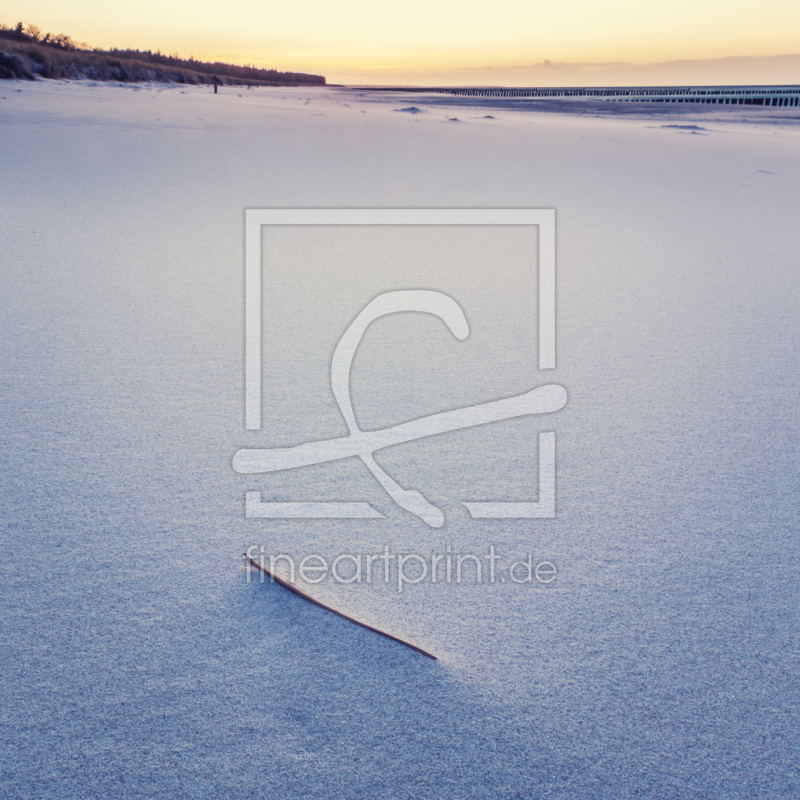 frei w&auml;hlbarer Bildausschnitt f&uuml;r Ihr Bild auf Kissen