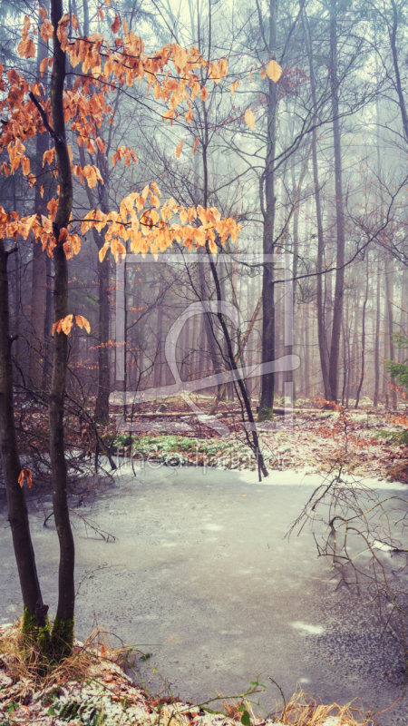 frei w&auml;hlbarer Bildausschnitt f&uuml;r Ihr Bild auf Kissen