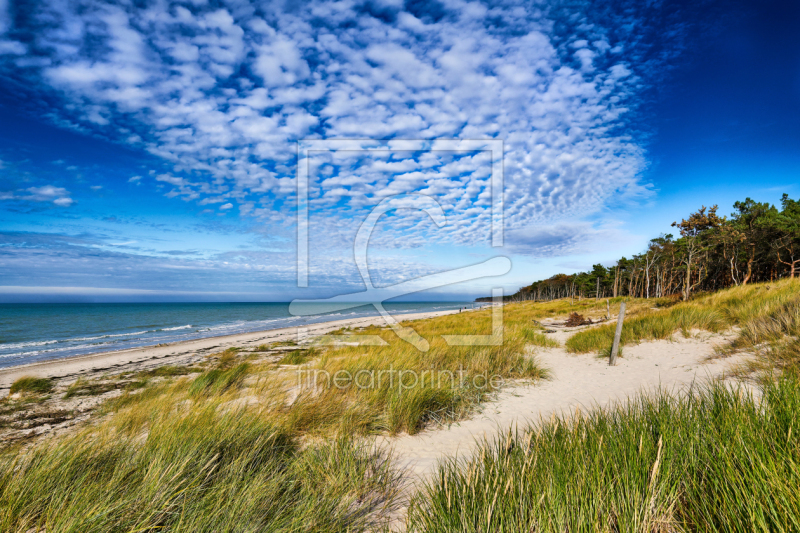 frei w&auml;hlbarer Bildausschnitt f&uuml;r Ihr Bild auf Kissen