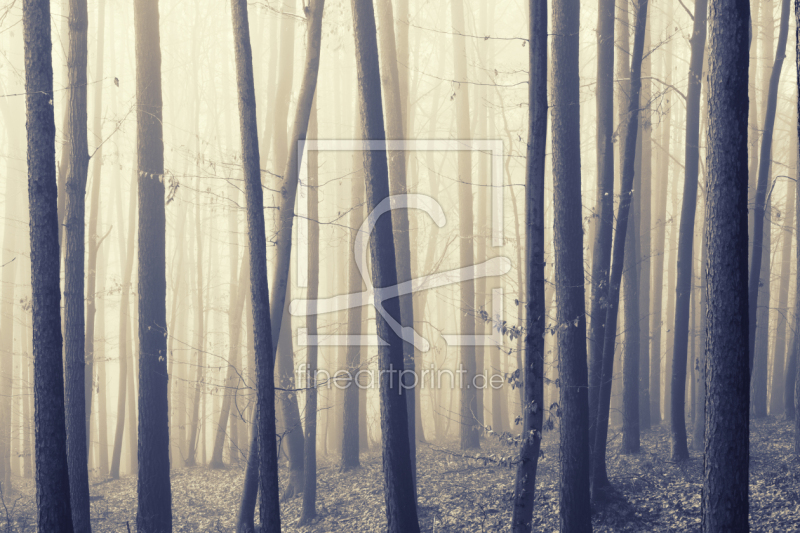 frei w&auml;hlbarer Bildausschnitt f&uuml;r Ihr Bild auf Kissen