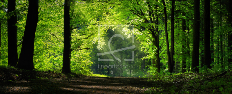 frei w&auml;hlbarer Bildausschnitt f&uuml;r Ihr Bild auf Kissen