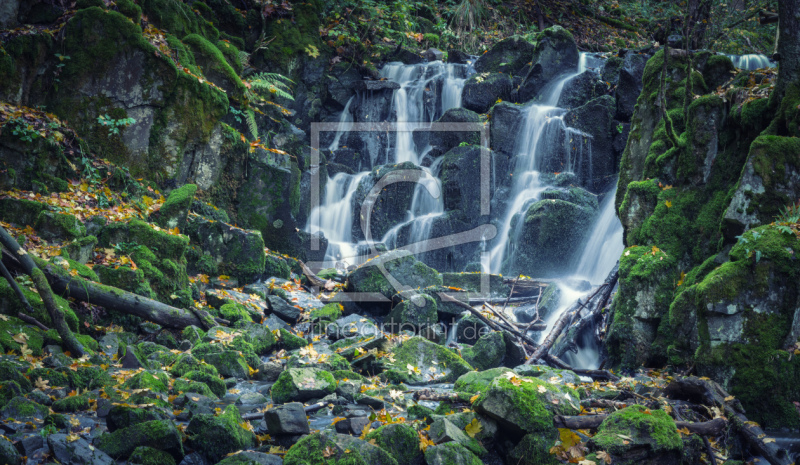 frei w&auml;hlbarer Bildausschnitt f&uuml;r Ihr Bild auf Kissen