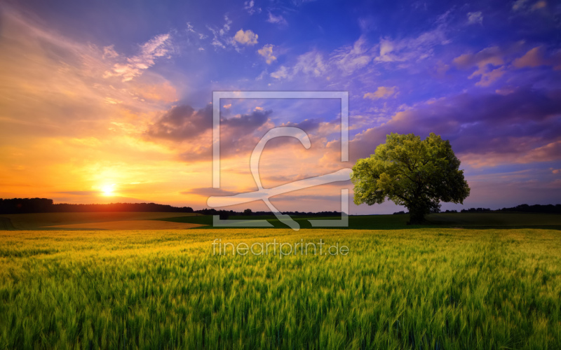 frei w&auml;hlbarer Bildausschnitt f&uuml;r Ihr Bild auf Kissen