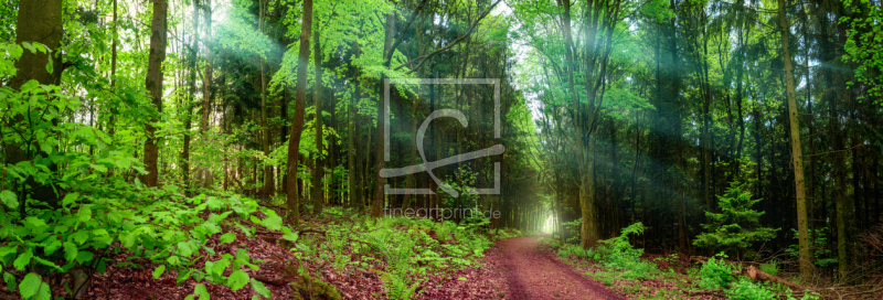 frei w&auml;hlbarer Bildausschnitt f&uuml;r Ihr Bild auf Kissen