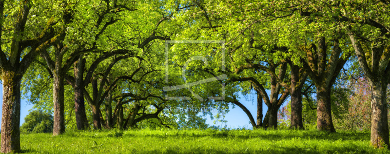 frei w&auml;hlbarer Bildausschnitt f&uuml;r Ihr Bild auf Kissen