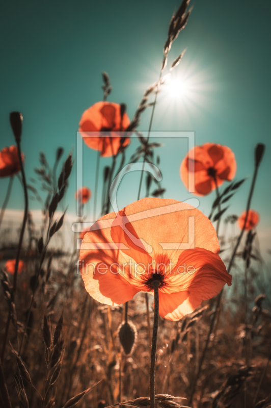 frei w&auml;hlbarer Bildausschnitt f&uuml;r Ihr Bild auf Kissen