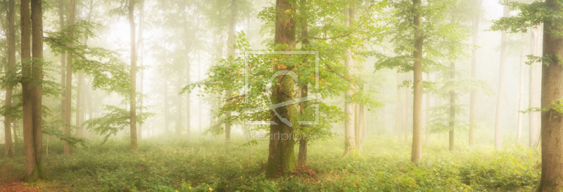 frei w&auml;hlbarer Bildausschnitt f&uuml;r Ihr Bild auf Kissen