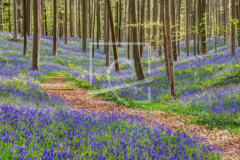 frei w&auml;hlbarer Bildausschnitt f&uuml;r Ihr Bild auf Kissen