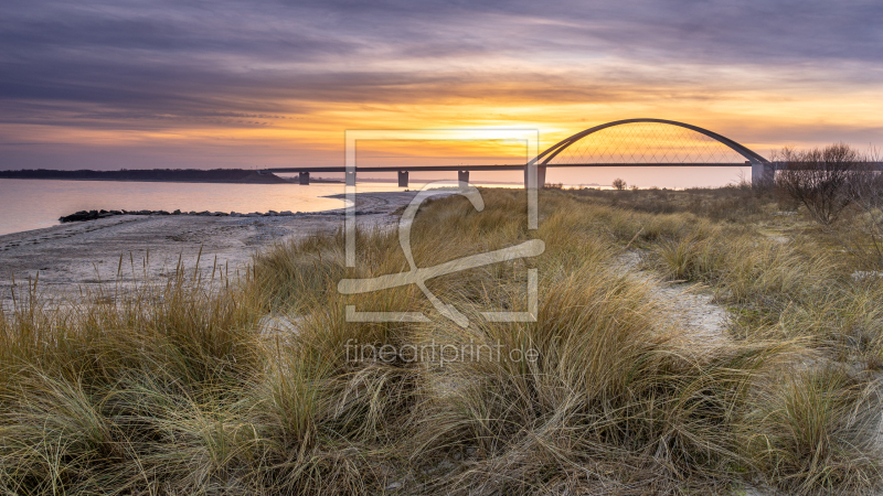 frei w&auml;hlbarer Bildausschnitt f&uuml;r Ihr Bild auf Kissen