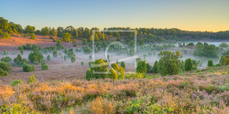 frei w&auml;hlbarer Bildausschnitt f&uuml;r Ihr Bild auf Kissen