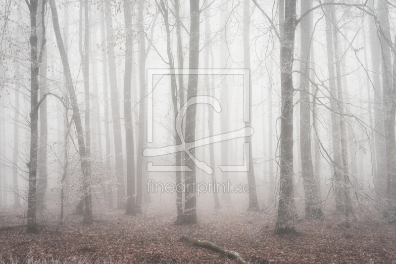 frei w&auml;hlbarer Bildausschnitt f&uuml;r Ihr Bild auf Kissen