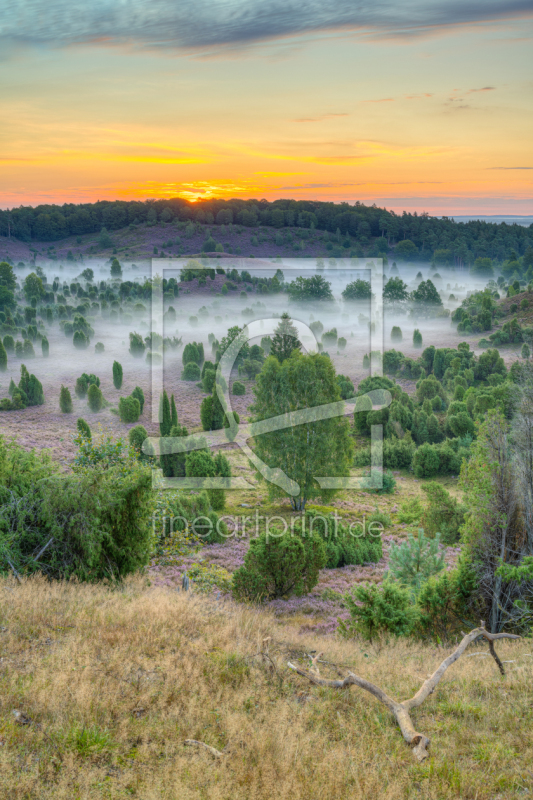 frei w&auml;hlbarer Bildausschnitt f&uuml;r Ihr Bild auf Kissen