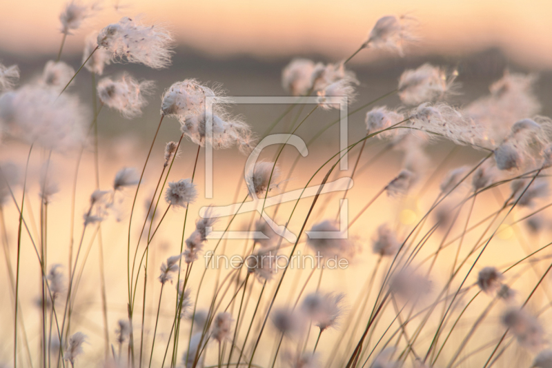 frei w&auml;hlbarer Bildausschnitt f&uuml;r Ihr Bild auf Kissen