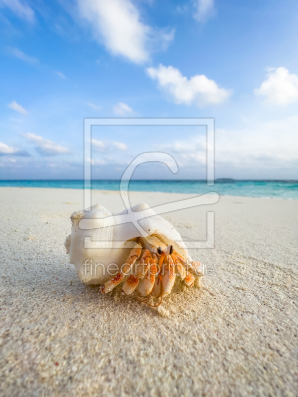 frei w&auml;hlbarer Bildausschnitt f&uuml;r Ihr Bild auf Kissen