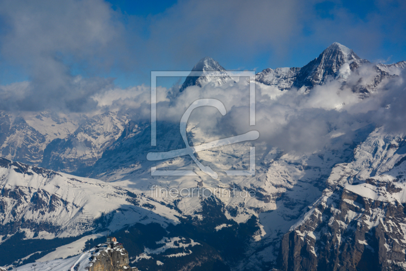 frei w&auml;hlbarer Bildausschnitt f&uuml;r Ihr Bild auf Kissen