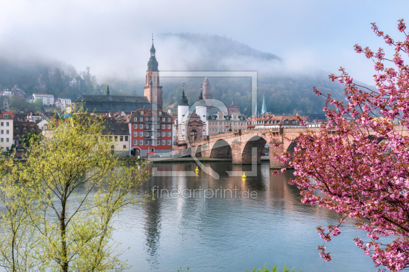 frei wählbarer Bildausschnitt für Ihr Bild auf Kissen