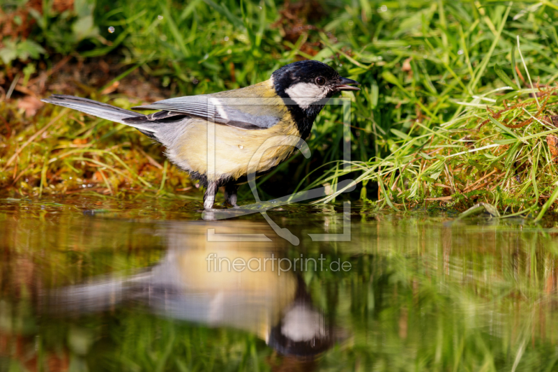 frei w&auml;hlbarer Bildausschnitt f&uuml;r Ihr Bild auf Kissen
