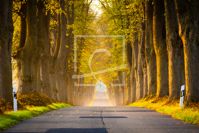 frei w&auml;hlbarer Bildausschnitt f&uuml;r Ihr Bild auf Kissen