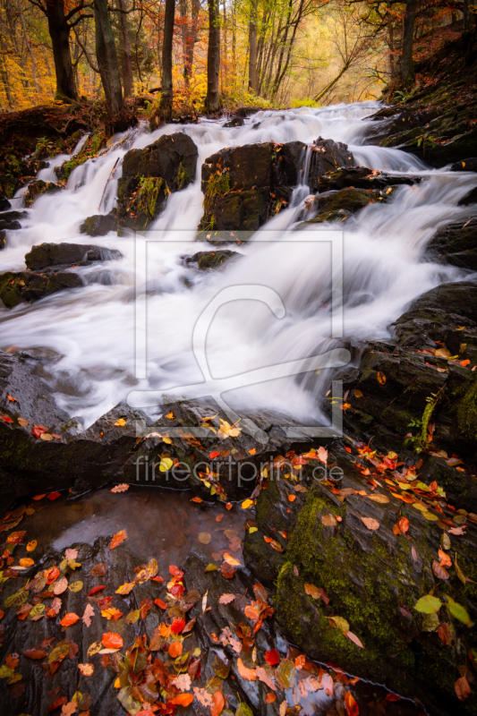 frei w&auml;hlbarer Bildausschnitt f&uuml;r Ihr Bild auf Kissen