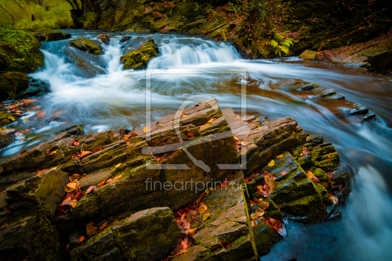 frei w&auml;hlbarer Bildausschnitt f&uuml;r Ihr Bild auf Kissen