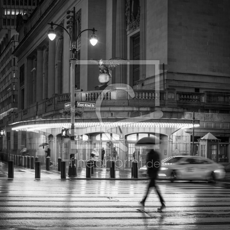 frei w&auml;hlbarer Bildausschnitt f&uuml;r Ihr Bild auf Kissen