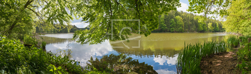 frei wählbarer Bildausschnitt für Ihr Bild auf Kissen