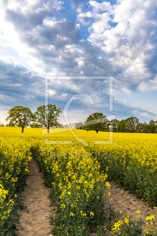 frei w&auml;hlbarer Bildausschnitt f&uuml;r Ihr Bild auf Kissen