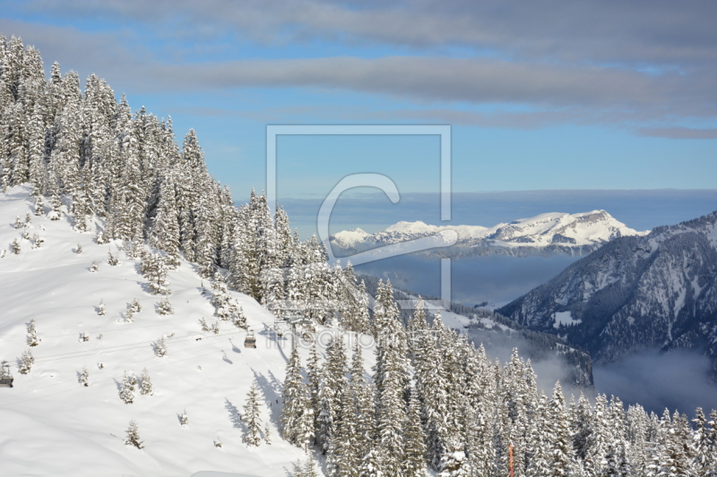 frei w&auml;hlbarer Bildausschnitt f&uuml;r Ihr Bild auf Kissen