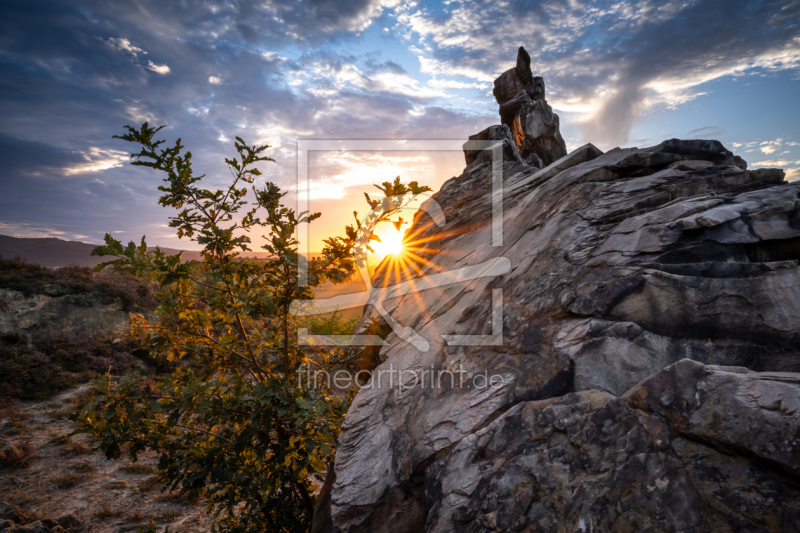 frei w&auml;hlbarer Bildausschnitt f&uuml;r Ihr Bild auf Kissen