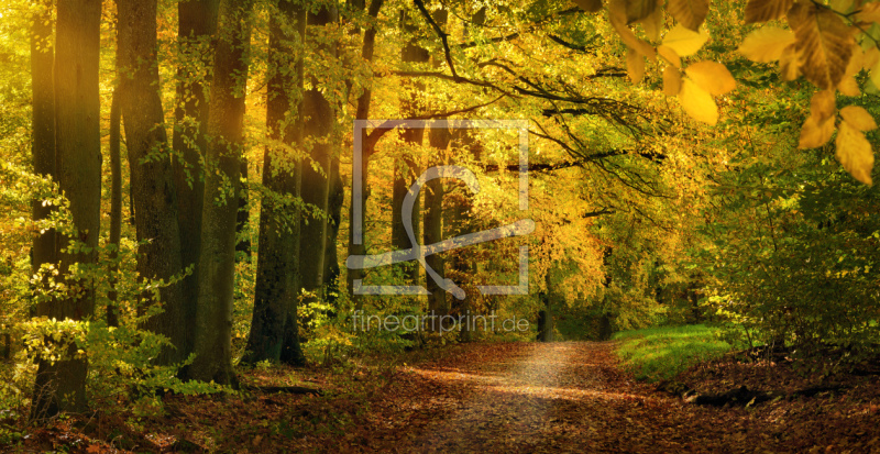 frei w&auml;hlbarer Bildausschnitt f&uuml;r Ihr Bild auf Kissen