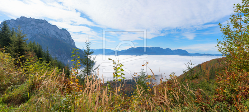 frei wählbarer Bildausschnitt für Ihr Bild auf Kissen