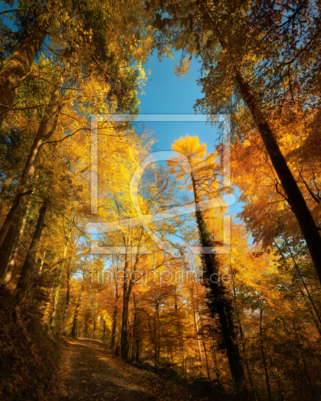 frei w&auml;hlbarer Bildausschnitt f&uuml;r Ihr Bild auf Kissen