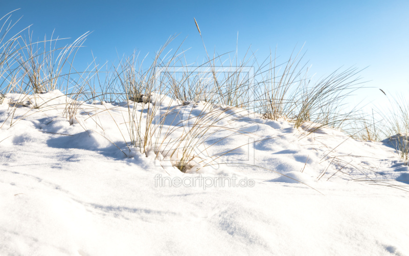 frei w&auml;hlbarer Bildausschnitt f&uuml;r Ihr Bild auf Kissen
